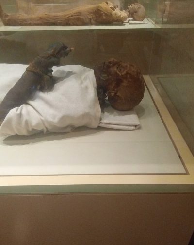 Hatshepsut-Mummy_of