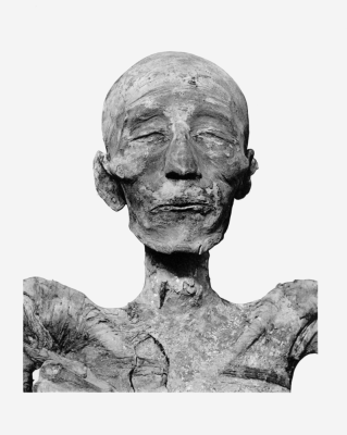 Merneptah_mummy_head