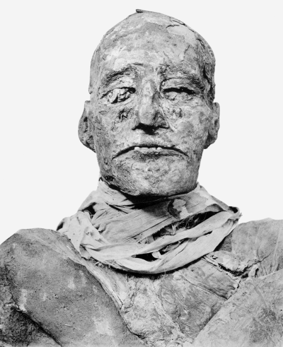 Ramses_III_mummy_head