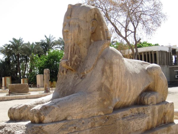Memphis albasten sphinx Amenhotep II (4)